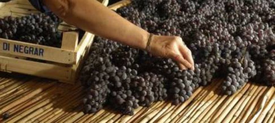 Dopo 63 anni il Palio del Recioto diventa Palio del Recioto e dell’Amarone