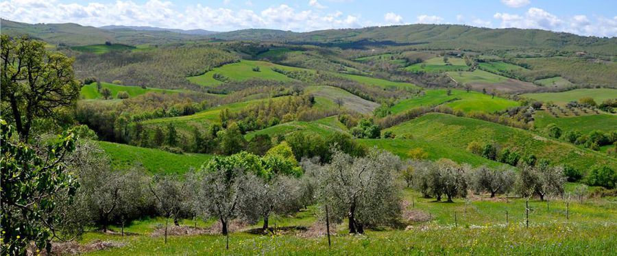 La prima festa delle Donne del Vino