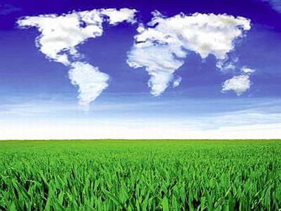 Vino e cambiamenti climatici: l'agrometeorologo è la nuova figura per le aziende vitivinicole