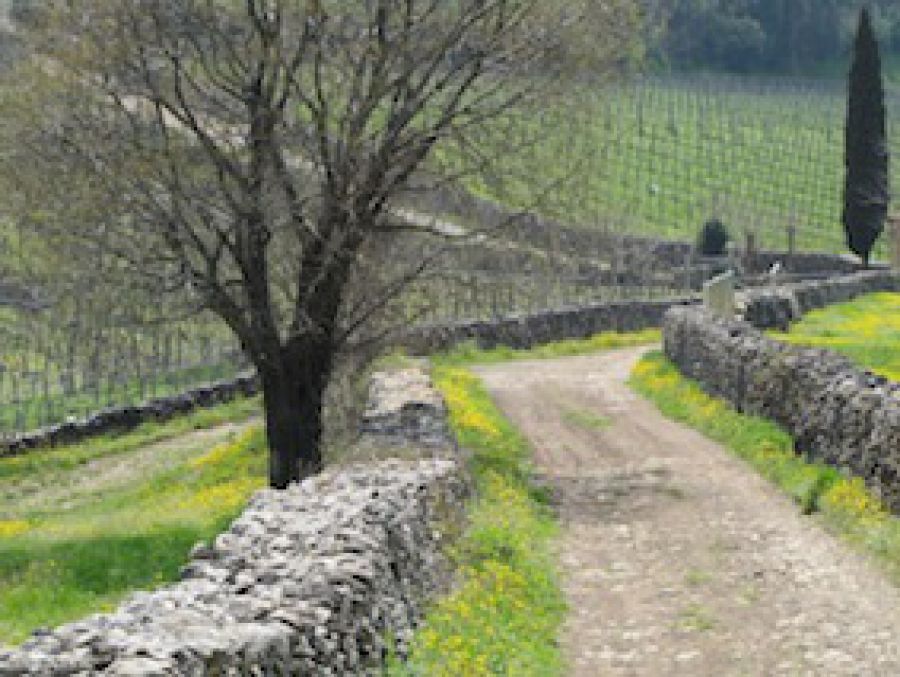 Pasqua nelle Terre del Soave