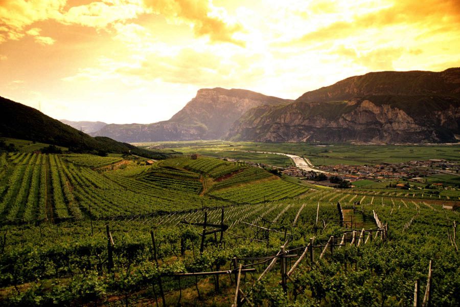 Anche le bollicine di montagna al numero 50 di Vinitaly