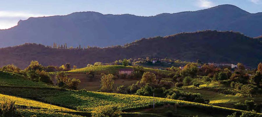 ProseccoShire, un progetto sensoriale per conoscere le colline candidate patrimonio UNESCO
