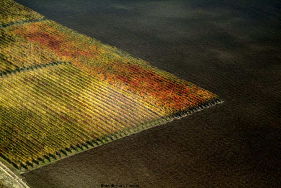Le Città del Vino alle urne: Nord Italia