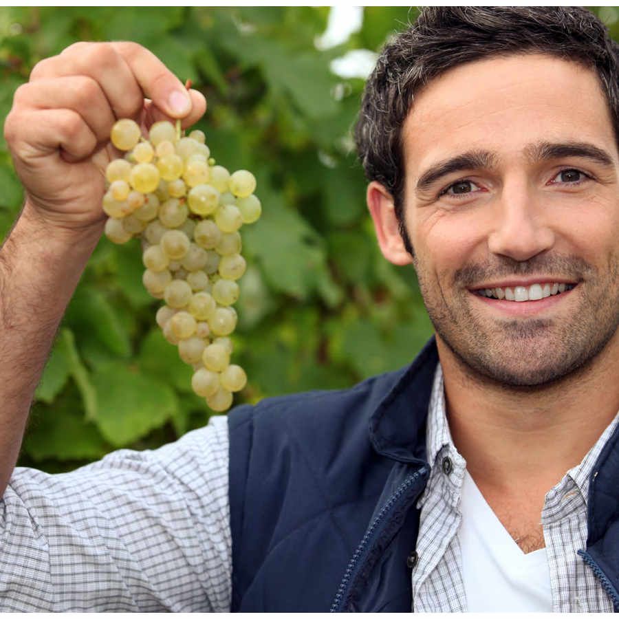Stage per Viticoltori nel Distretto del Prosecco