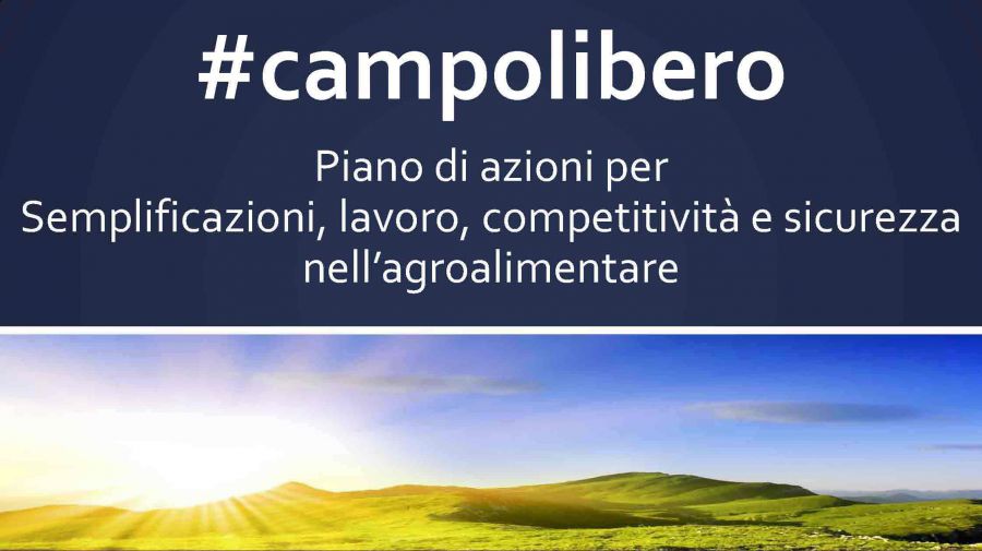 #Campolibero: competitività, semplificazione e sicurezza per l'agricoltura italiana