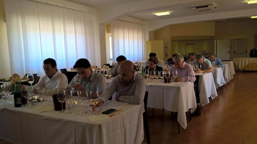 Rating sulla Falanghina 2015 apre Vinalia 2016
