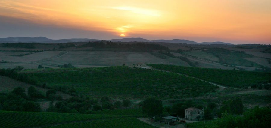 Scansano. L'Alba a Ghiaccio Forte