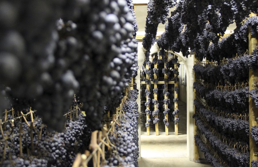 APPASSIMENTI APERTI, DUE DOMENICHE AL SAPORE DI VERNACCIA