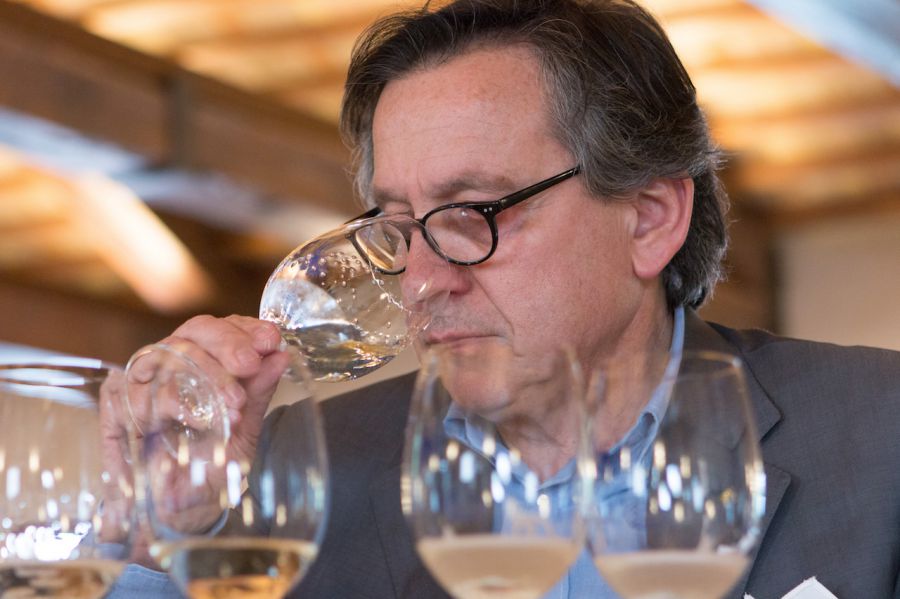 Friuli VG, previsioni vendemmiali 2016