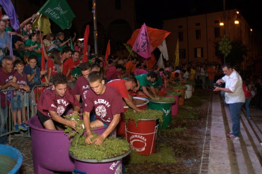 Festa dell'Uva e Palio delle Contrade