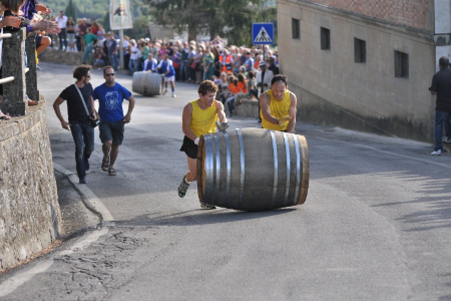 Ecco le dieci finaliste del Palio Nazionale delle Botti