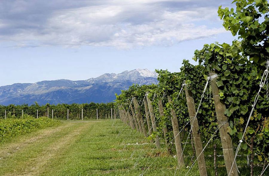 Barbatelle, una opportunità per il turismo