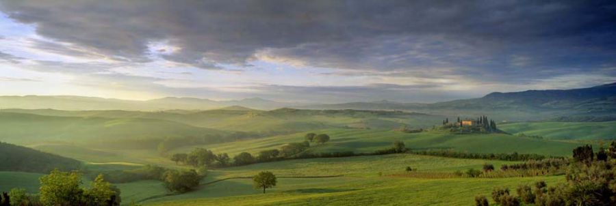Val d'Orcia, una Farfalla sull'oro rosso