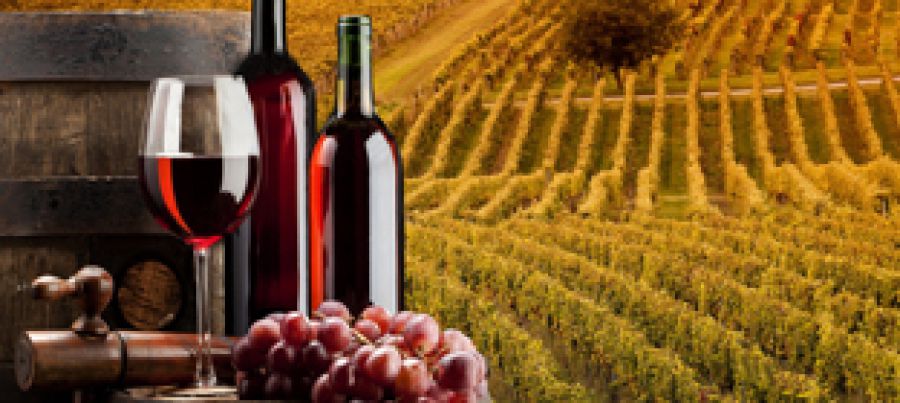 Un Master per Ambasciatori del vino italiano