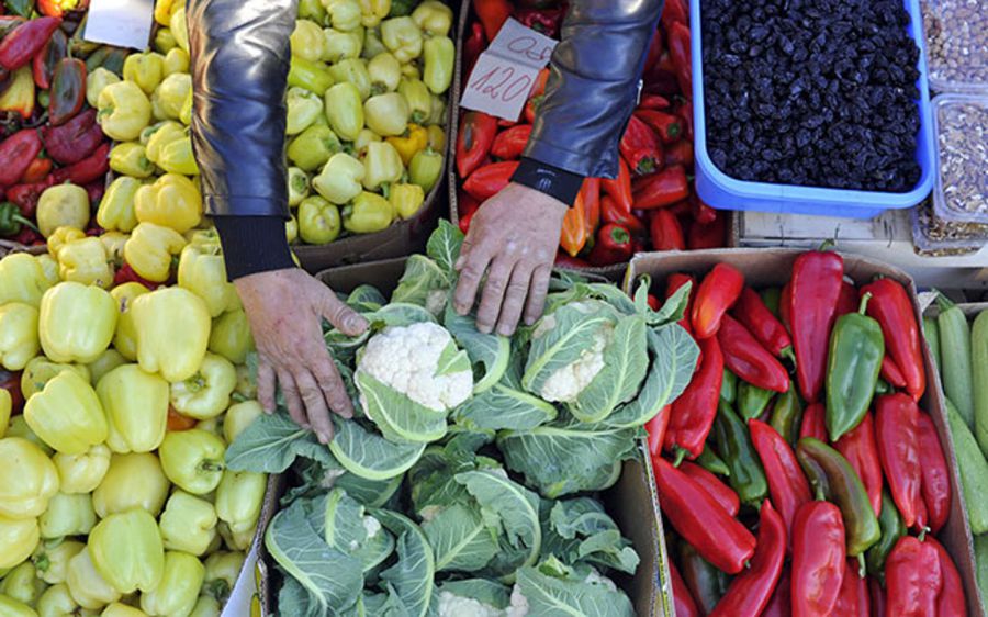 Intesa per i Sistemi di patrimonio agricolo di importanza mondiale