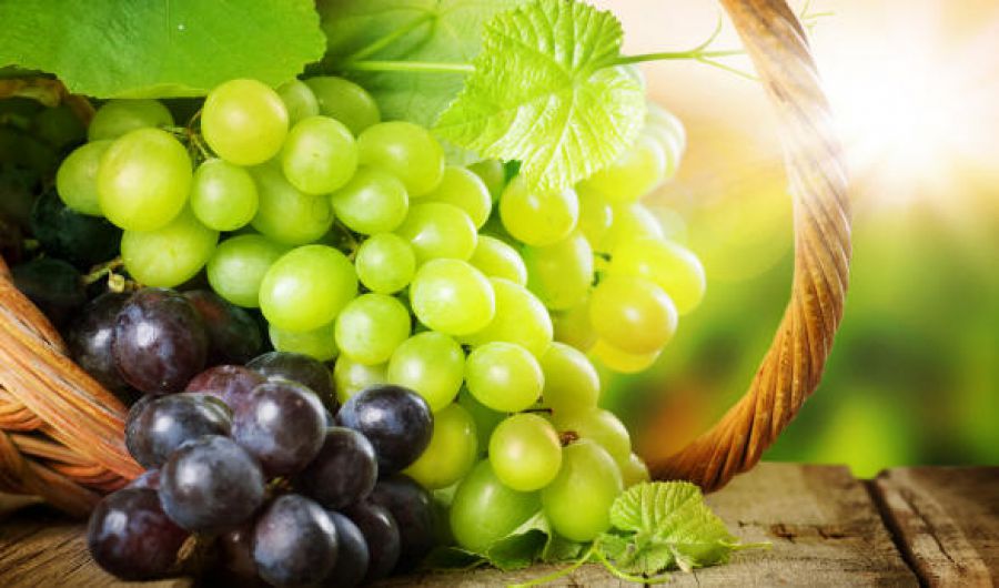 Vino, Veneto quarta potenza mondiale
