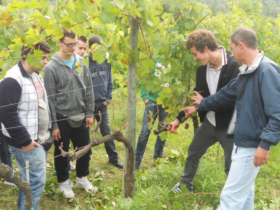 Un Istituto Professionale Agrario nella terra del Brunello