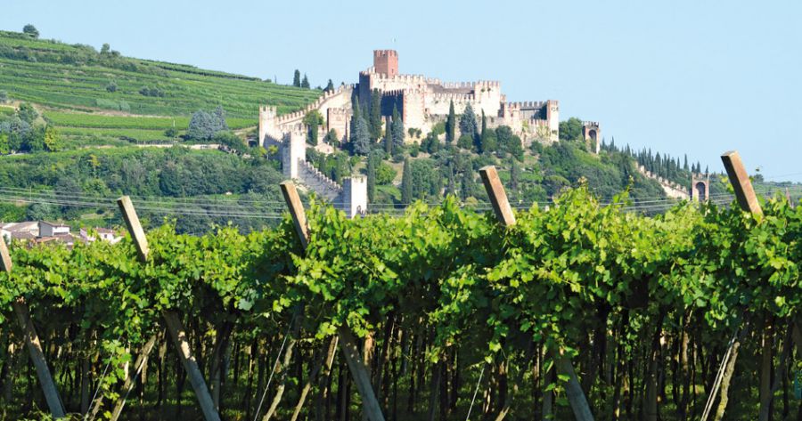 Il Soave si imbottiglia solo in zona di produzione
