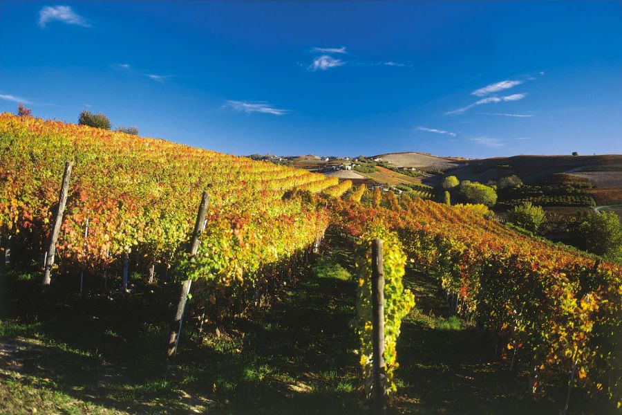 Vini Alto Piemonte in rassegna a Novara