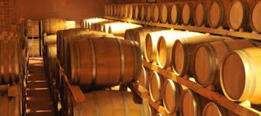 Amarone biologico: scelta etica e amore per la natura