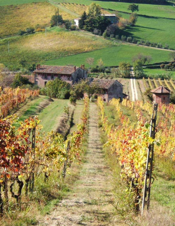 1967-2017: auguri al Sangiovese di Romagna DOC