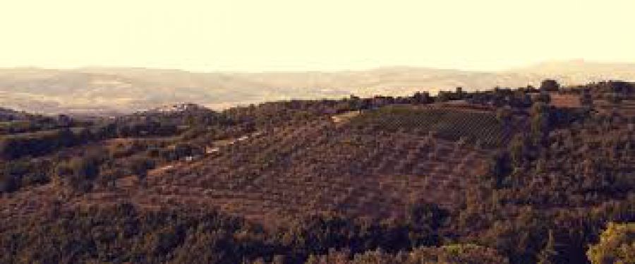 I rossi di Manciano per la seconda volta a ProWein