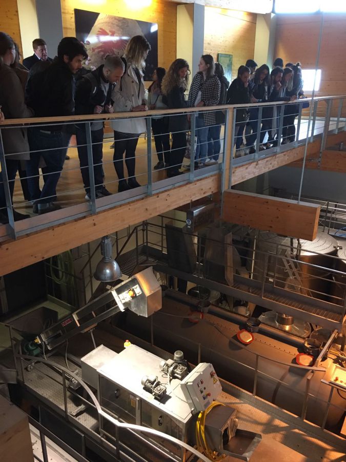 Nell'enoturismo c’è spazio per i giovani