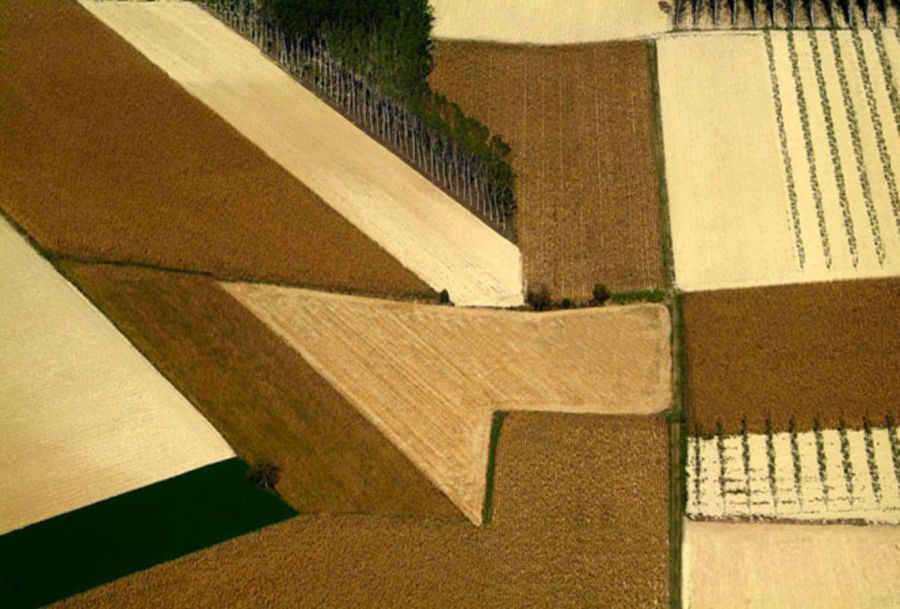 Winescapes, l’arte del paesaggio dal Monferrato al Forum Universale delle Culture Unesco