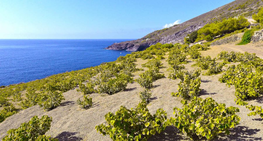 La Sicilia della bellezza e del vino