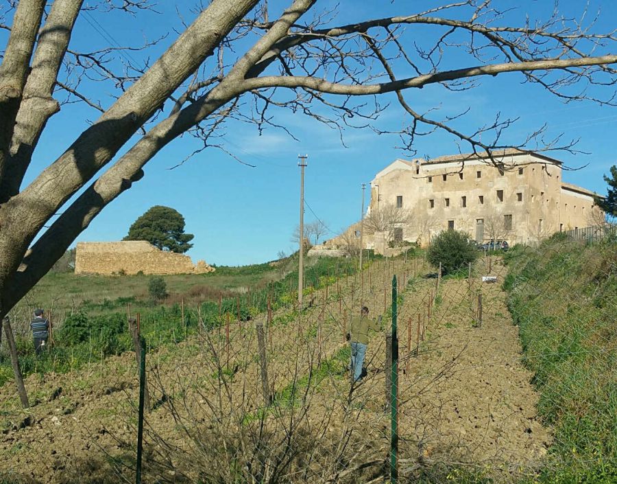 In memoria di Giacomo Rallo