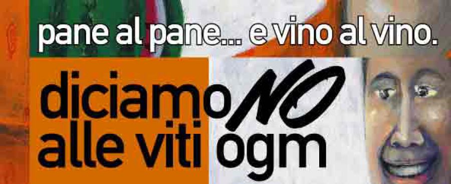 OGM, il Mipaaf plaude all'intesa che introduce flessibilità