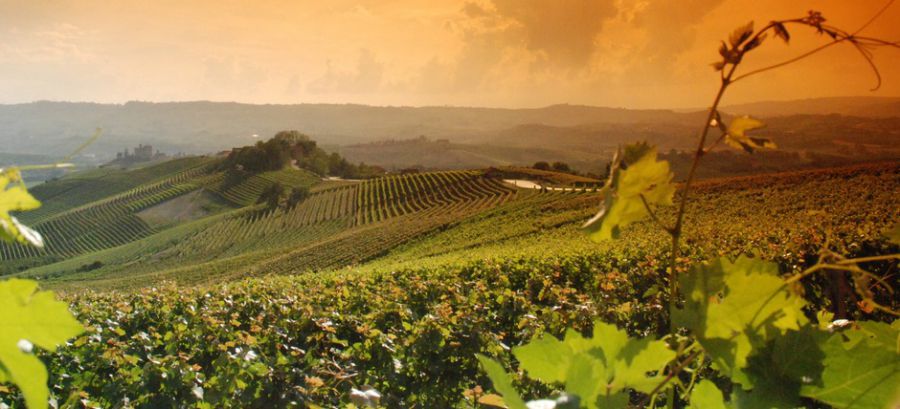 Langhe Roero e Monferrato nell’Unesco