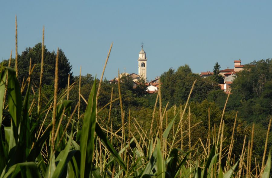 Maggiora invita al Palio delle Botti