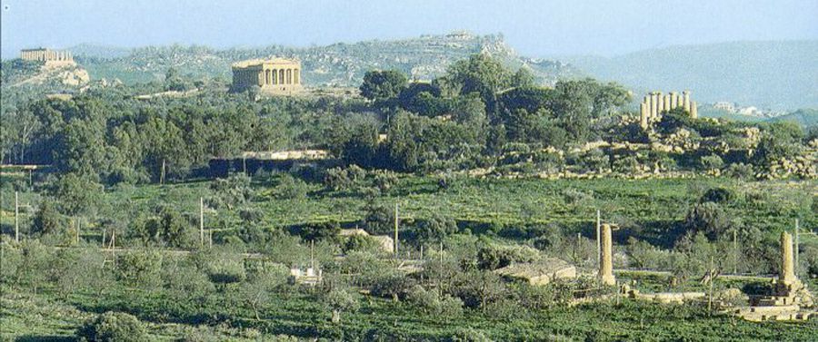 “Diodoros”: rinasce il vino della Valle dei Templi