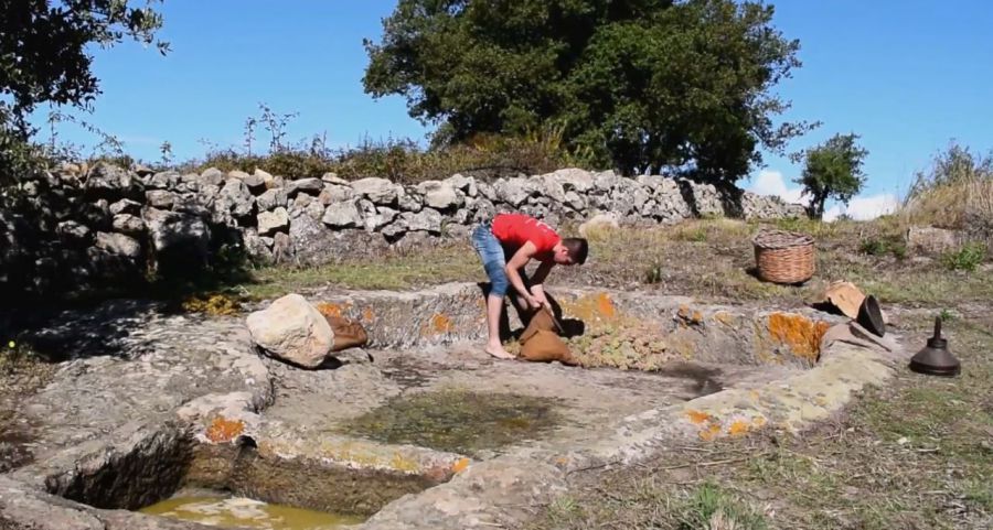 Pigiatura in palmento ad Ardauli