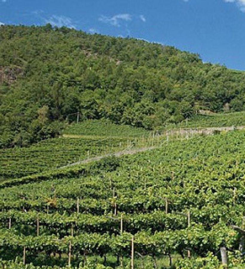 Enoregioni italiane: Valli Laterali Altoatesine