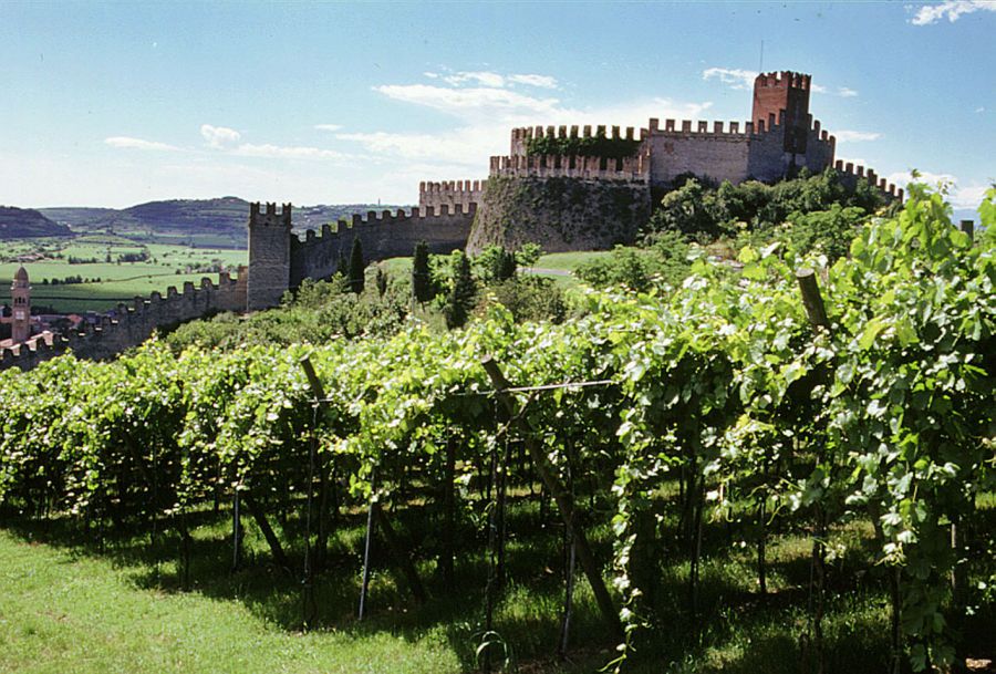 Enoregioni italiane: Terre del Soave