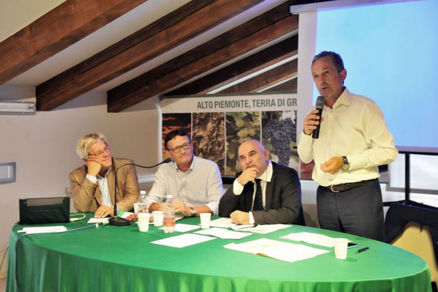 Colline Novaresi: Giornata della Viticoltura