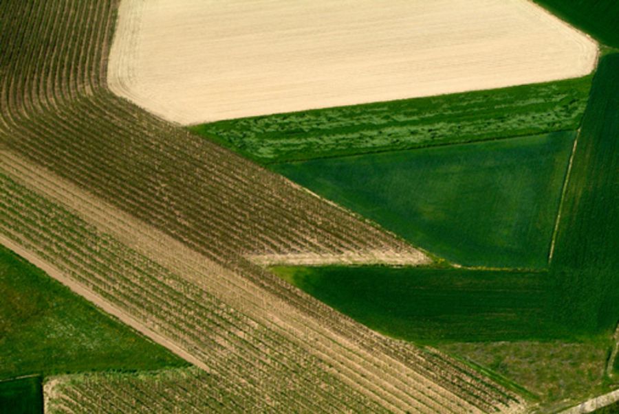 L'arte del paesaggio in Monferrato