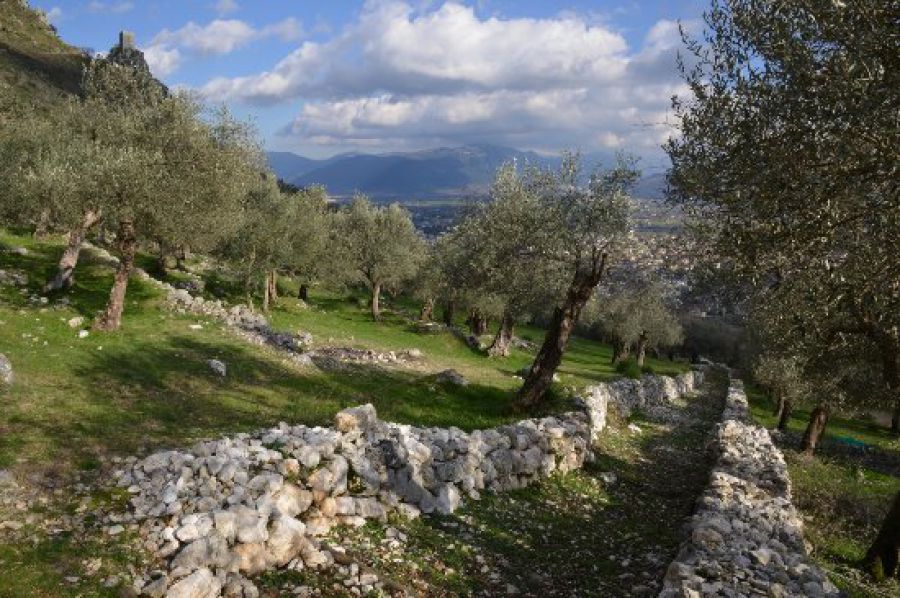 Paesaggi Rurali Storici: altre tre Città del’Olio vicine al traguardo