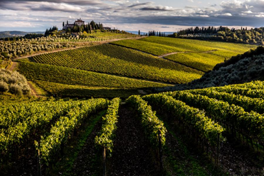 Frescobaldi entra nel Chianti Classico