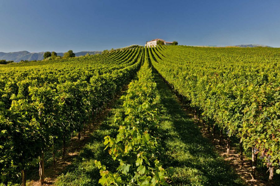 Decanter premia il Prosecco Doc