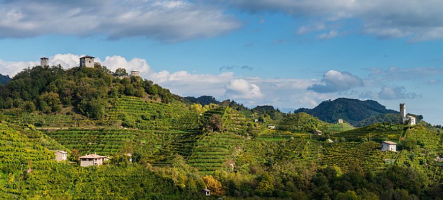 Parte da Conegliano la corsa verso il biodistretto del Prosecco