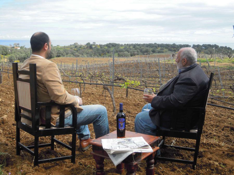 Vitae - La Guida Vini 2018 premia il Cirò