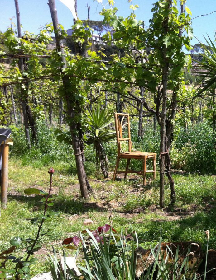 Enoregioni italiane: Area Vesuviana, Campi Flegrei e Ischia