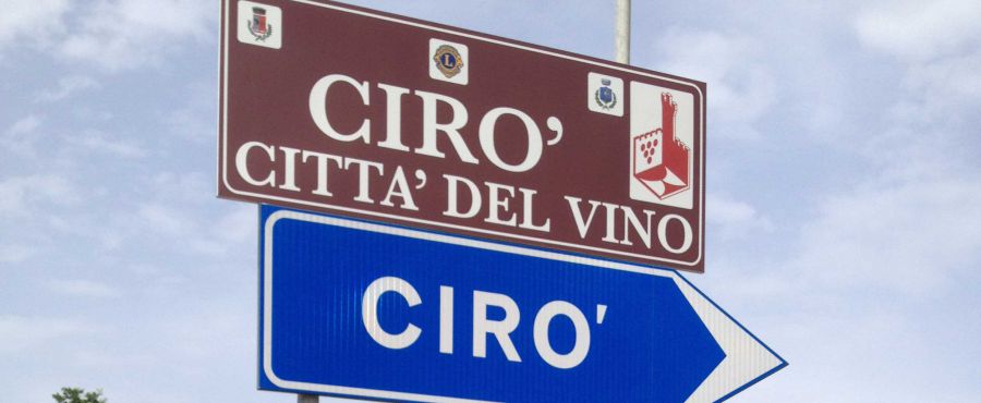 La Calabria del vino festeggia le aziende d'Argento. Un patto tra i Sindaci delle Doc Cirò e Melissa. Intanto gli studenti progettano un futuro sostenibile