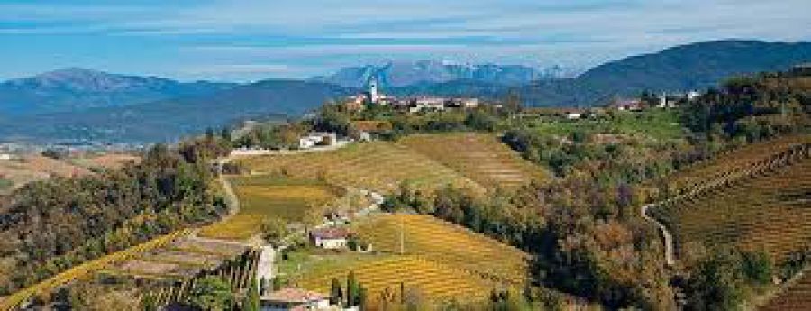 Trail del Collio: un percorso transfrontaliero pensando all'UNESCO