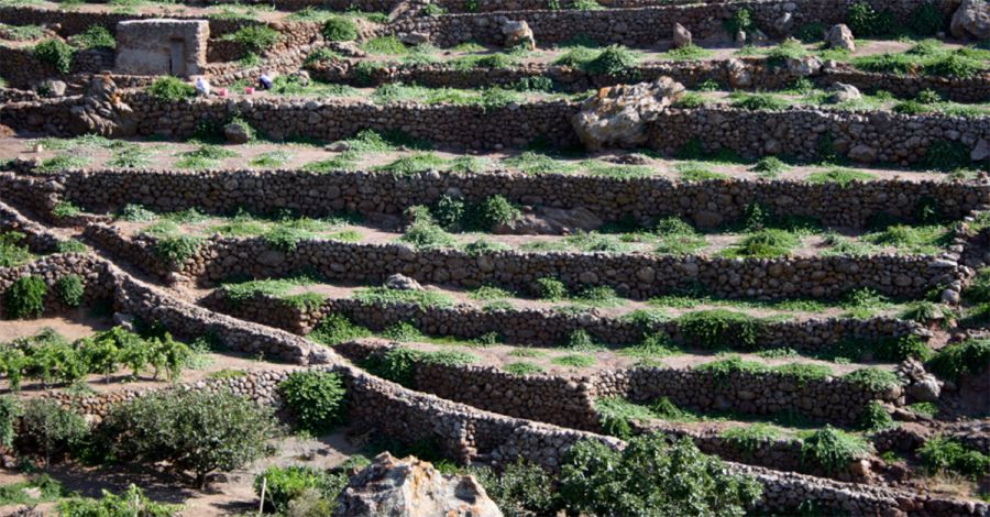 Pantelleria nel Registro dei Paesaggi Rurali Storici