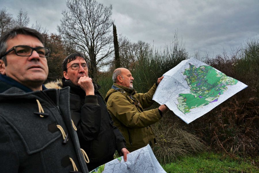 Paesaggi rurali: salgono a 5 le Città dell’Olio che ottengono il riconoscimento del Mipaaf