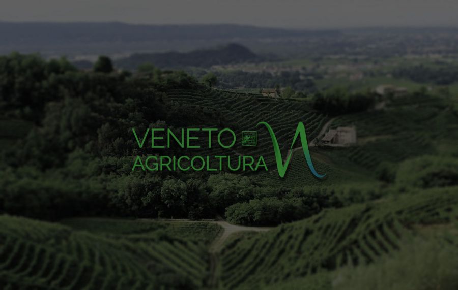Vola l’export veneto con la novità biologico